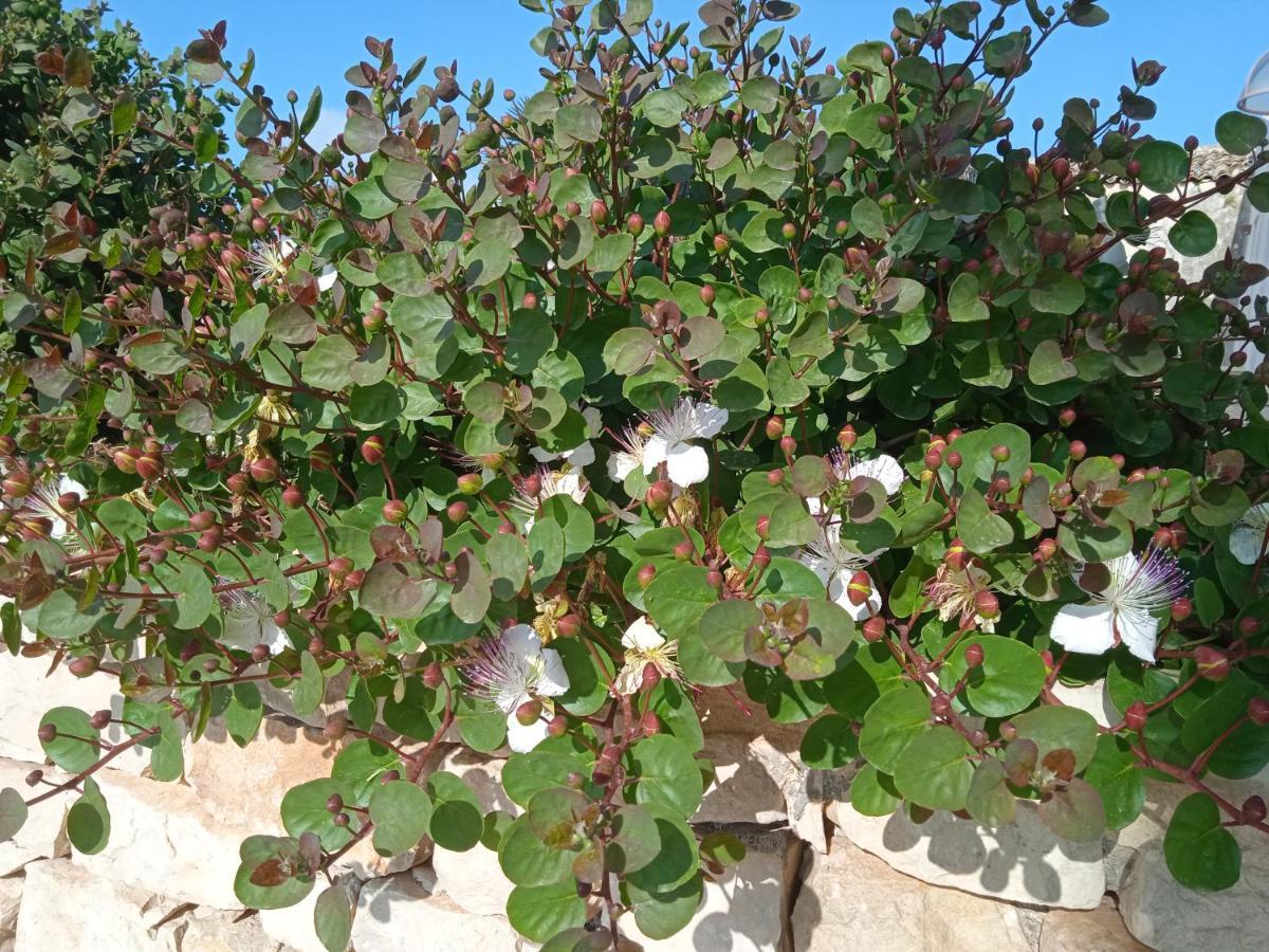 I 5 Sensi Βίλα Marina di Modica Εξωτερικό φωτογραφία